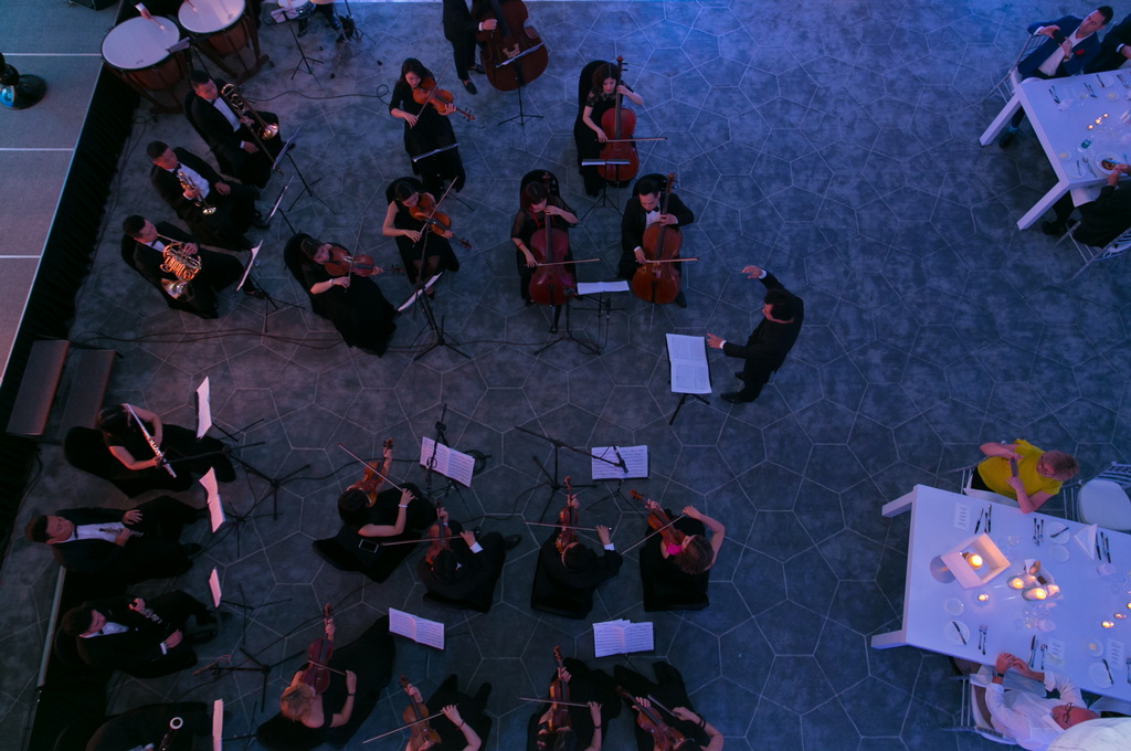 THE ORCHESTRA 